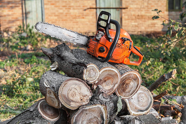 Best Tree Pruning Services  in Hometown, PA